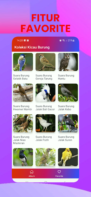 Suara Kicau Burung Offline MP3 Screenshot 3