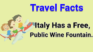 Amazing Daily Facts -Cool Fact Screenshot 3