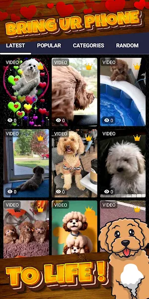 poodle wallpaper Screenshot 1