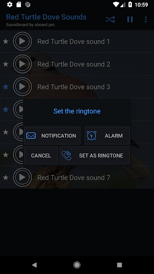 Red Turtle Dove Sounds ~ Sboar Screenshot 2
