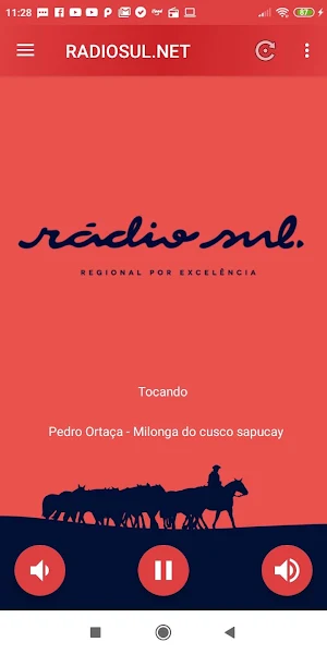 RADIOSUL.NET Screenshot 0