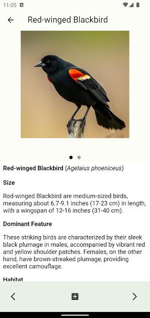 Wildlife of Texas Screenshot 1