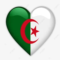 شات عازبين الجزائر