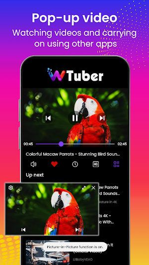 wTuber-Video Player all format Screenshot 1