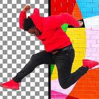 Image Background Changer App