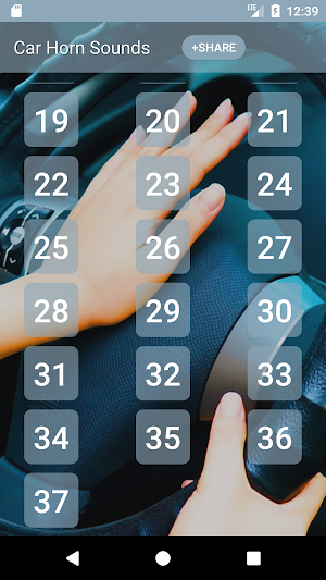 Car Horn Sounds Screenshot 1