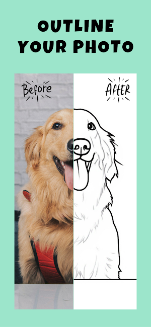 Petdraw: Pet Photo Art Editor Screenshot 0