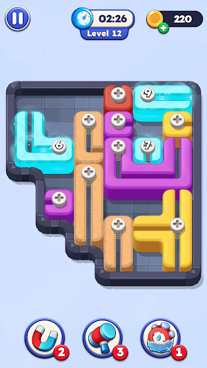 Screw Unlock Screenshot 2