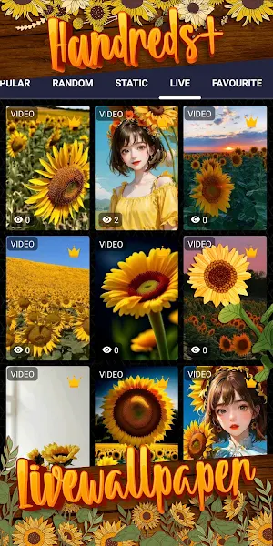 sunflower wallpaper Screenshot 2
