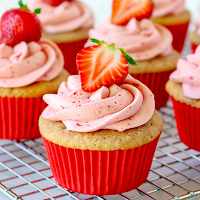100 Cupcake Recipes