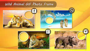 Wild Animals GIF Photo Frame Screenshot 1