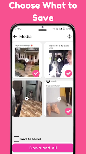 Insvid Video, Story Downloader Screenshot 3