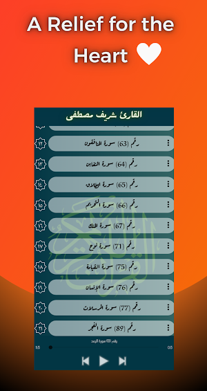 القارئ شريف مصطفى - بدون نت Screenshot 0