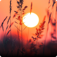Relaxing Wallpapers