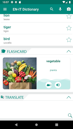 Italian English Dictionary Screenshot 0