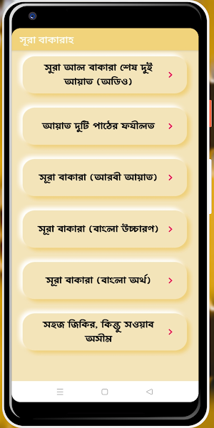 সূরা বাকারা শেষ দুই আয়াত অডিও Screenshot 0