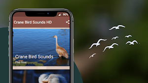 Crane Bird Sounds Screenshot 0