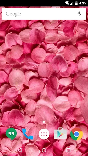 Flower Petals 3D Wallpaper HD Screenshot 3