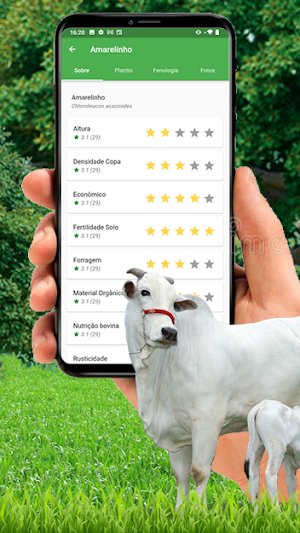 Amazon Pasto Screenshot 2