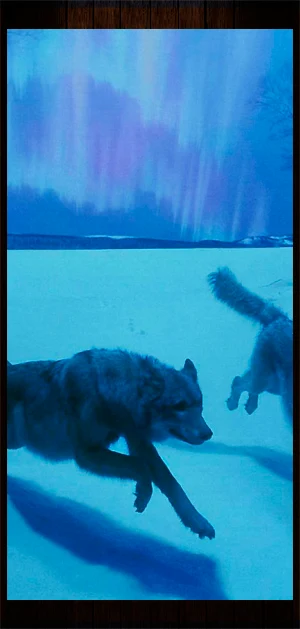 Wolfsbane Screenshot 0