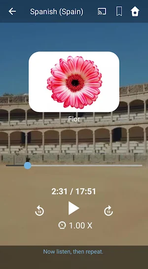 Learn European Spanish. Speak European Spanish. Screenshot 0