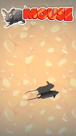Cat Toy 2 - Games for Cats Screenshot 1
