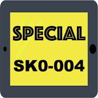 SK0-004 All-in-One Exam