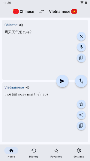 Chinese Vietnamese Translator Screenshot 0