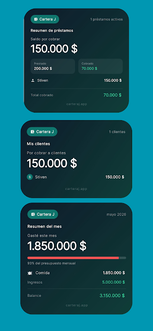 COcartera Screenshot 2