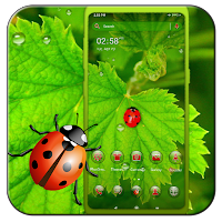 Ladybug Leaf Theme