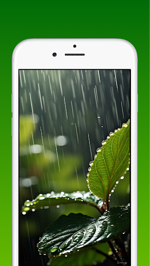 Leaves Wallpapers 4K HD Screenshot 2