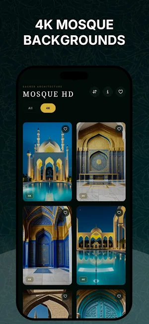 Mosque Wallpapers HD Screenshot 1