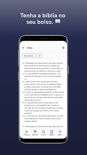I.B.Coimbra Screenshot 2