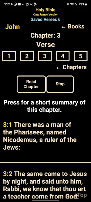 AI Holy Bible KJV Screenshot 2