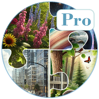 Pics Puzzles Pro