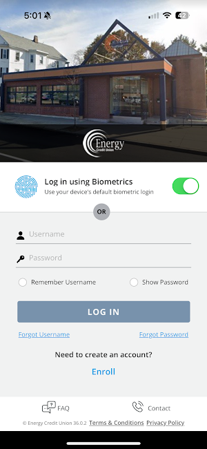 EnergyDEBIT Screenshot 2