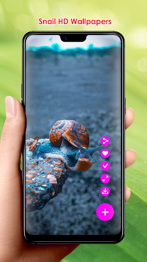Snail HD Wallpapers Screenshot 1