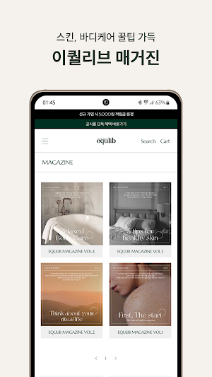 equlib Screenshot 3