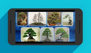 Bonsai Design Inspiration Screenshot 2