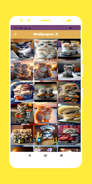 Cute Cat Wallpaper HD Screenshot 3