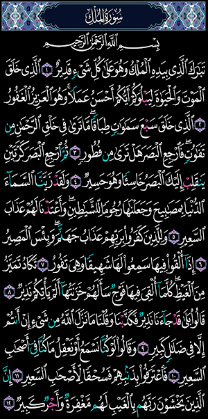 القرآن الكريم مصحف تجويد Screenshot 1