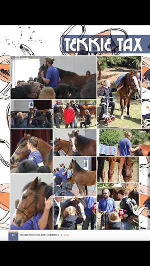 CCL Yearbook Screenshot 3