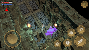 Treasure Hunter: Dungeon Fight Screenshot 3