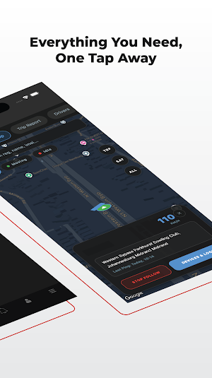 1Web Systems Screenshot 1