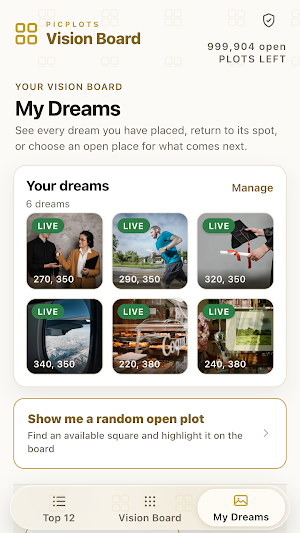 PicPlots: Public Vision Board Screenshot 1