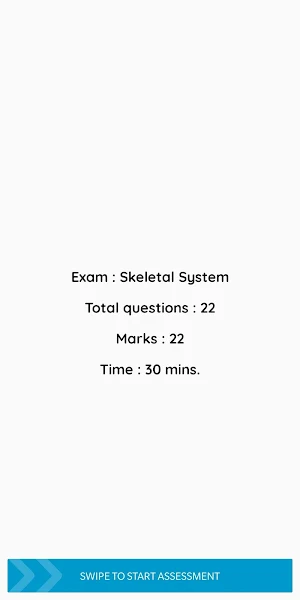 Assessment Screenshot 2