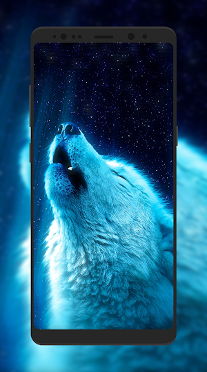 Wolf Wallpaper HD Screenshot 2