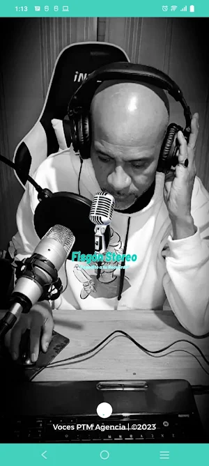 FISGÓN STEREO Screenshot 1