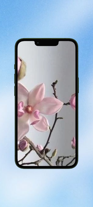 Magnolia Flower WalL Screenshot 3