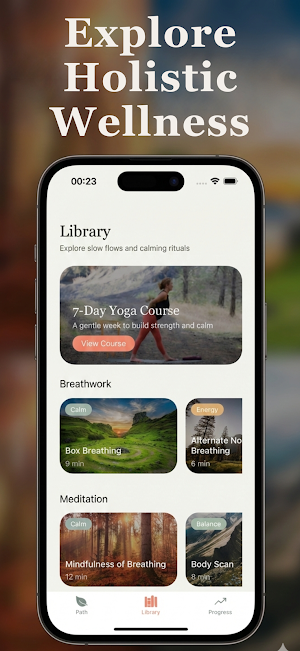 Tai Chi for Beginners - Flow Screenshot 3